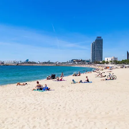 Sweett - Nova Icaria